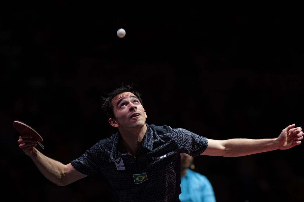 他多样化的 他多样化的