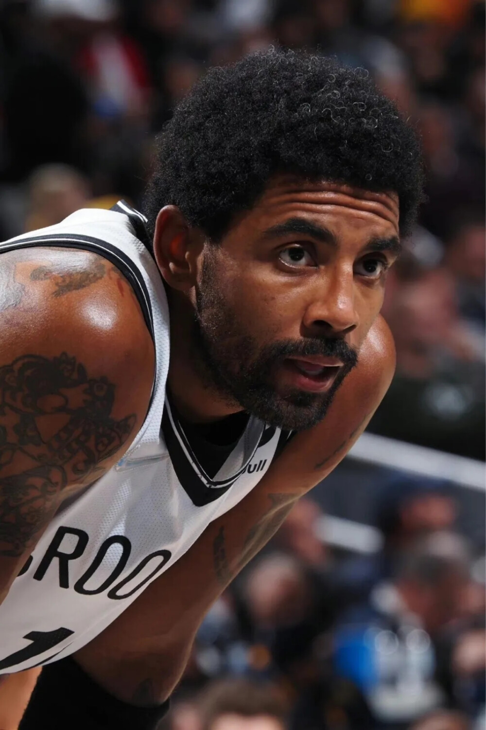 舞台上展示 舞台上展示