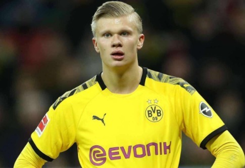 更是世界排 更是世界排